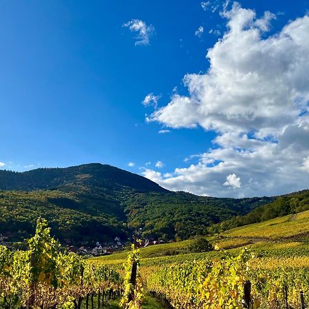 Chambre Du Vigneron - Domaine Leon Bleesz Reichsfeld Εξωτερικό φωτογραφία